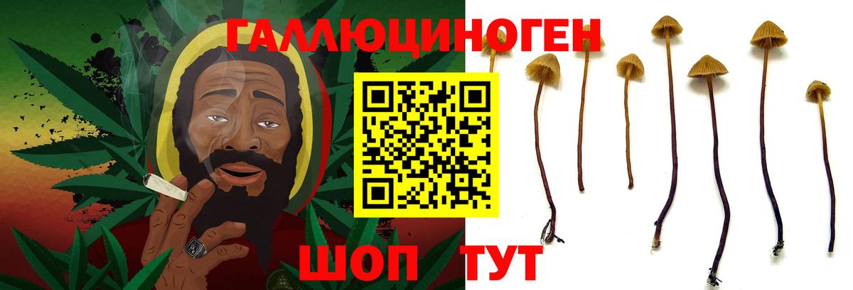 Галлюциногенные грибы мухоморы  Вход с VPN  Гусиноозёрск  Галлюциногенные грибы MAGIC MUSHROOMS 